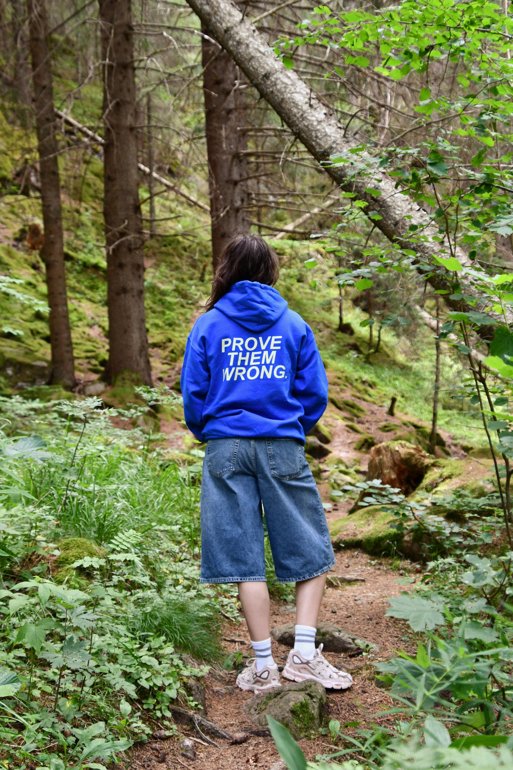 PROVE THEM WRONG Hoodie