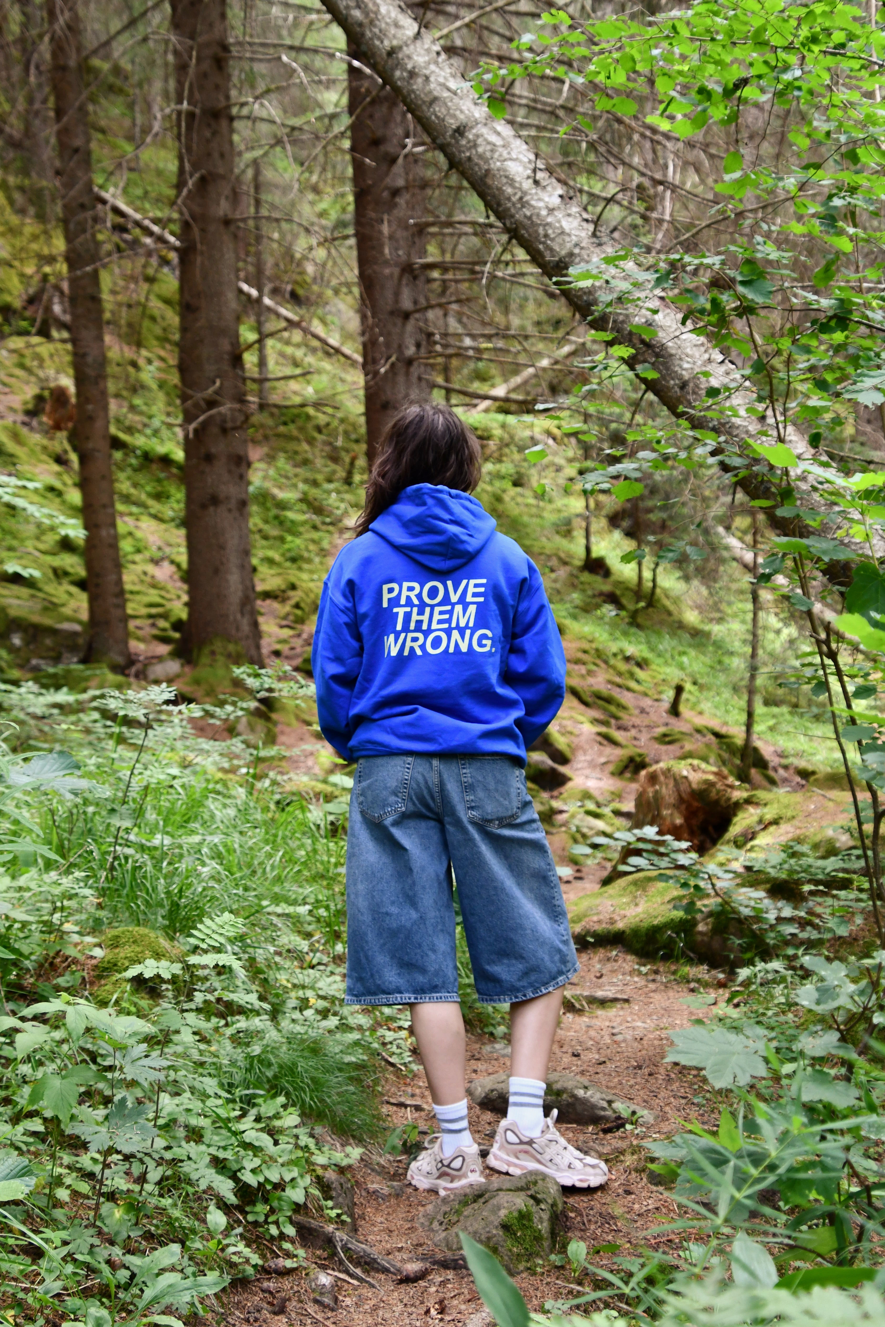 PROVE THEM WRONG Hoodie